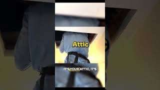 How to Find Mold in New Homes