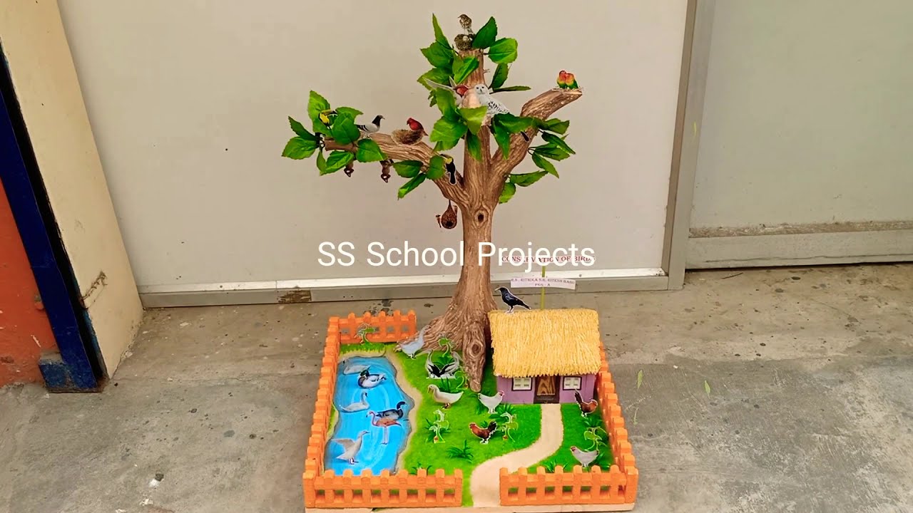 School Project - Conservation of Birds Model