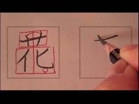 漢字の書き方 花草虫犬貝 Kanji Writing Practice Plants And Animals Youtube