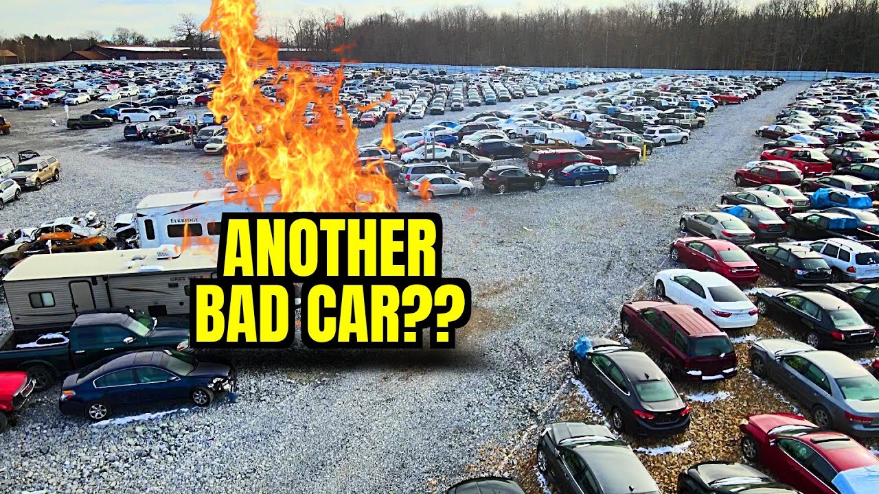 Did i get hosed at the auction again?!?!