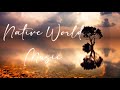 Native World Ukulele Music | Destroy All The Negative Energy. Positive Calm Heal Relax Sleep Music