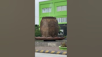 Tìm được cái lu đựng nước khủng nhất thế giới #phapmontinhdo1 #music