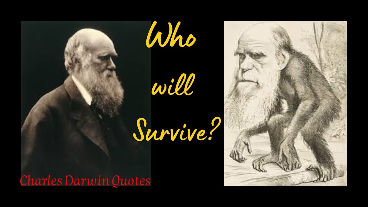 Who will Survive ? Top Quotes on Charles Darwin I Charles Darwin I QuotesClip Inspirational Quotes I