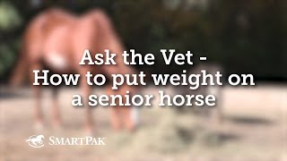 Ask the Vet - How to put weight on a senior horse
