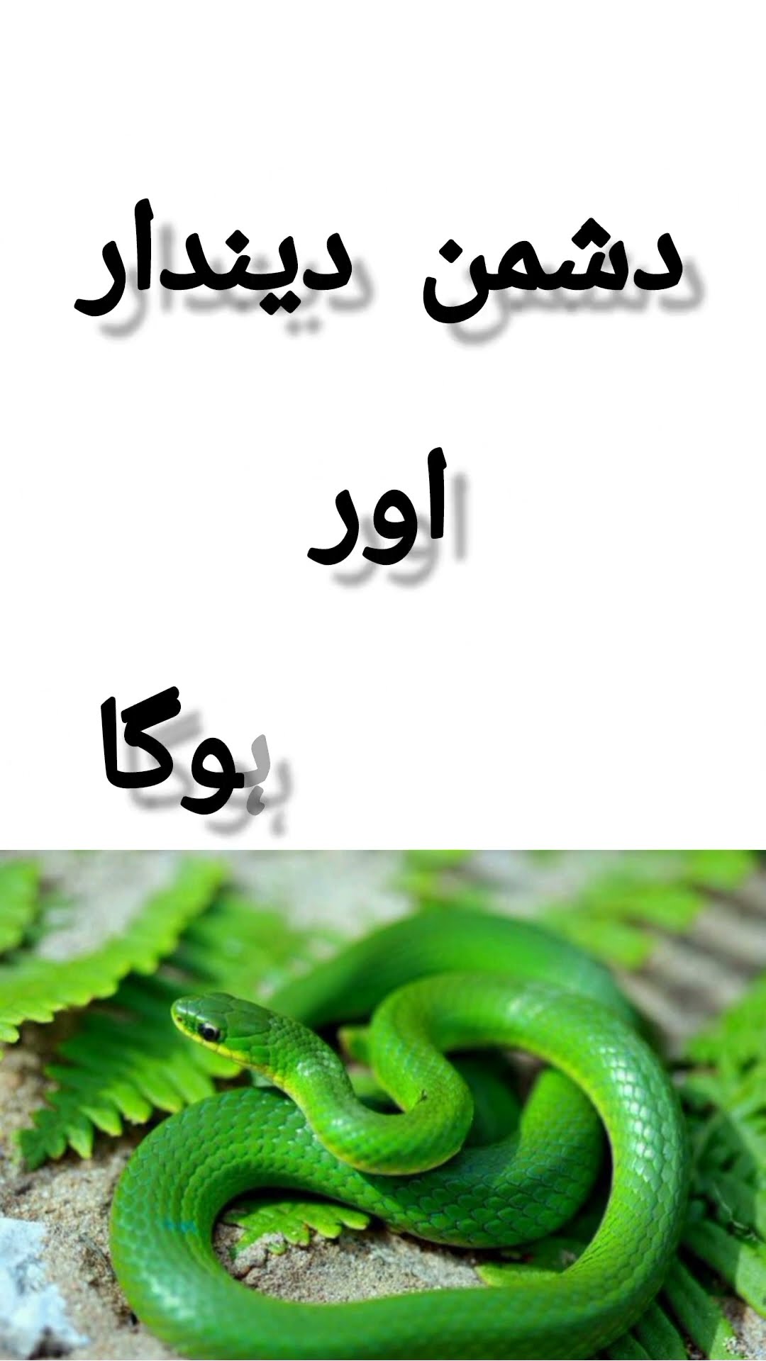 What s Happen To See Green Snake In Dream What s Happen To See Green Snake In Dream