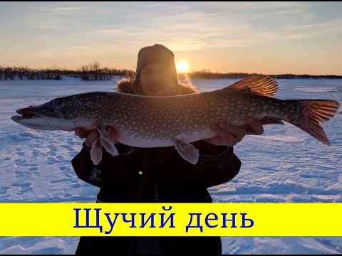 Щучий день