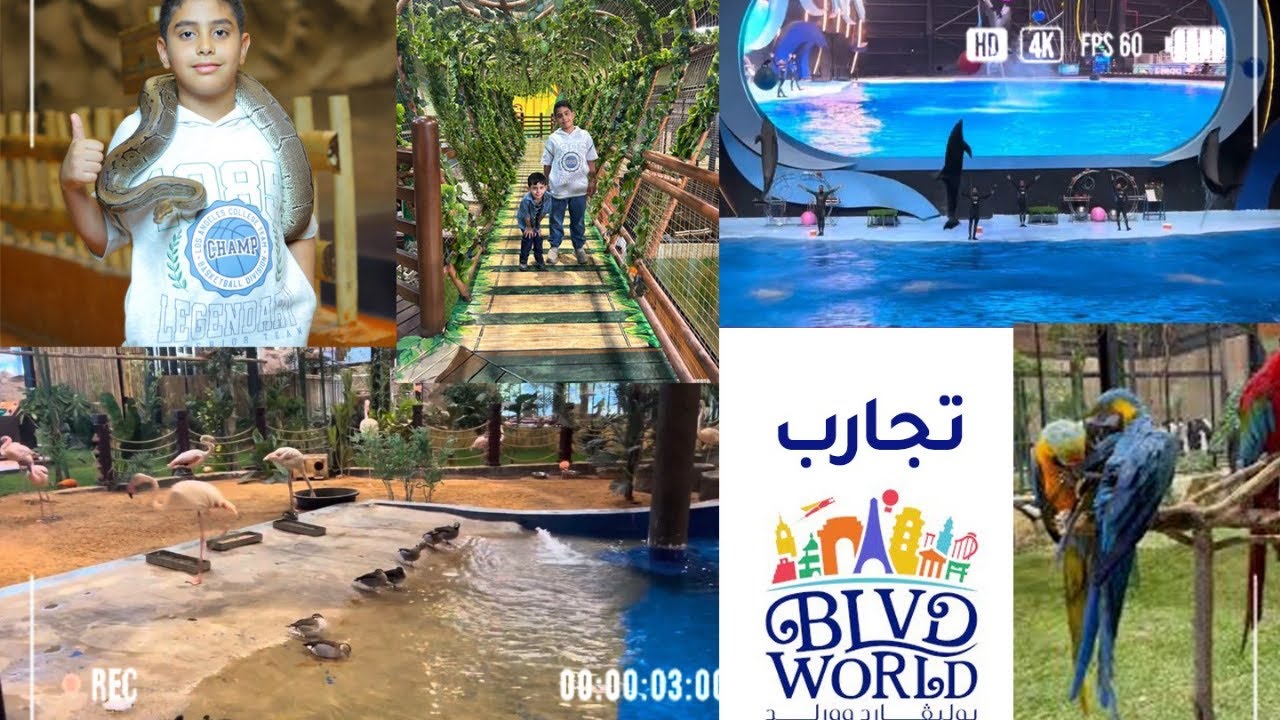 تجارب بوليفارد ورلد غابة الحيوانات + عرض الدلافين 