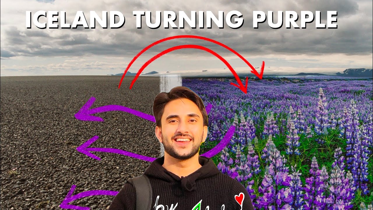 Why Iceland turning Purple? #geography #upsc #lupin #iceland
