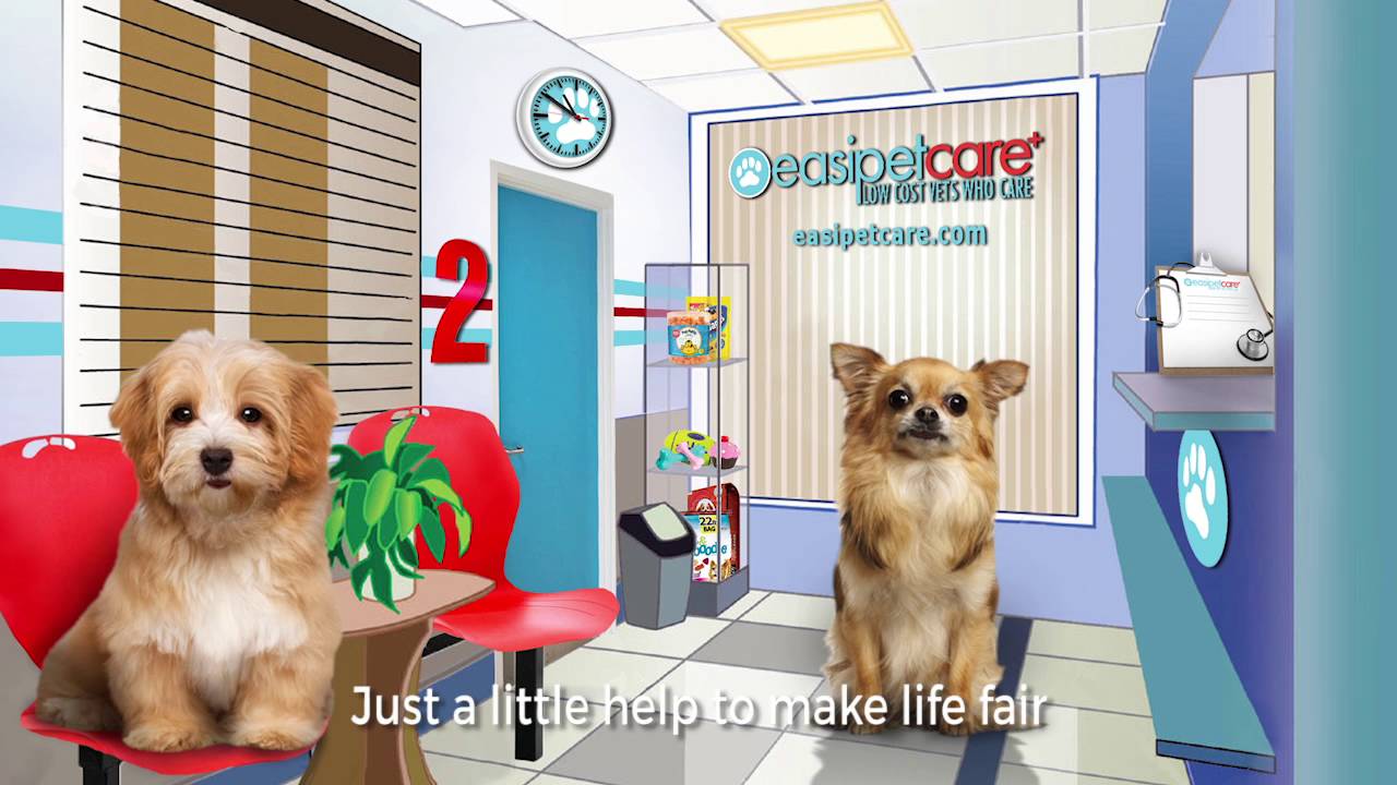 The Low Cost Vets Who Care 1st Commercial YouTube The Low Cost Vets Who Care 1st Commercial YouTube