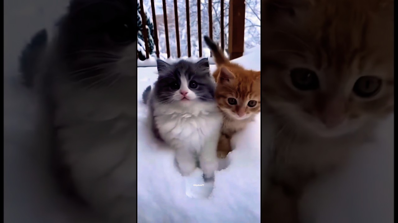 Living that meow-del life 💅 