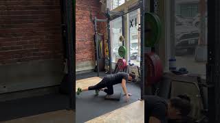 Quadruped Hip Airplane