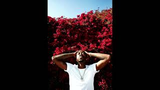 [FREE] Freddie Gibbs Type Beat: Karma