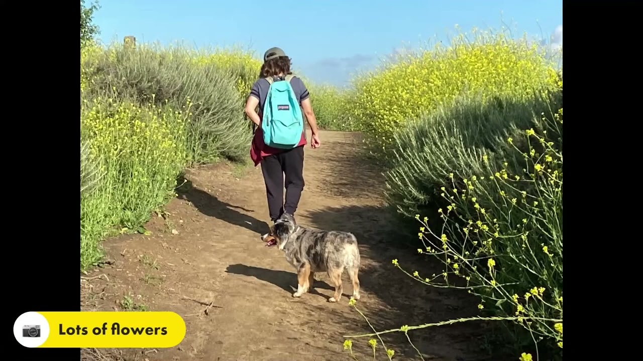Diamond Bar Steep Canyon Trail