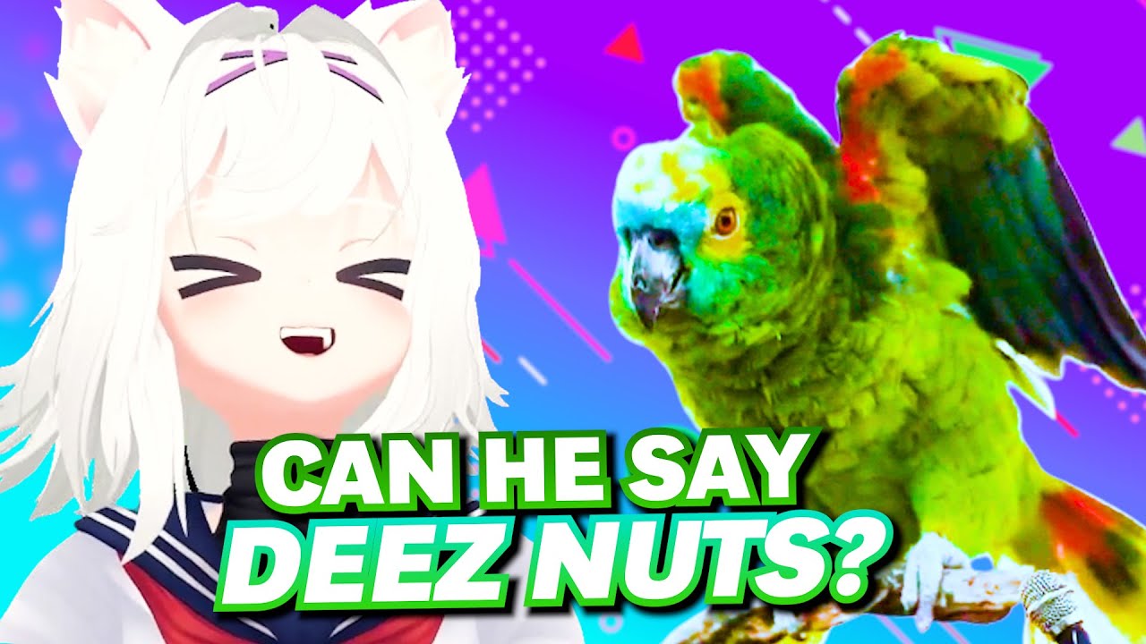 Filian interviews a weird looking pigeon with a tiny mic