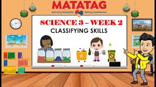 TERM 1 Science3 Week 2 - Science Process Skills / Classifying Skills