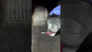 Exposing The Industry