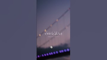 واتقوا يوما لا تجزي نفس عن نفس شيئا تلاوة هادئة 💙✨