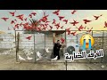 مصيبة صارت وي الحمام