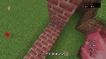 Minecraft with Kenzie