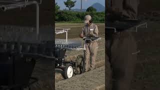 YANMAR Onion Transplanter PH2-TWA #shorts #agrimachinery