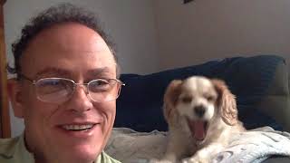 Pastor Nick Cacciatore - Daily Message with Molly! VermilionChurch.com