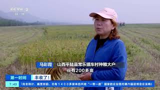 [第一时间]丰收了！山西平陆：谷子随风摇曳 黄河岸边数万亩秋粮收割| 财经风云