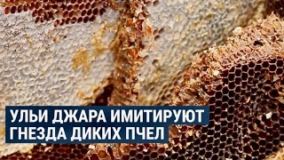 Джара — древнейший метод пчеловодства