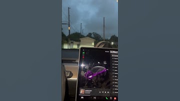 Tesla mirrors auto fold disabled