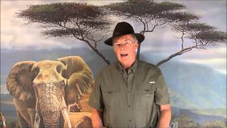 How To Grade Tanzanite Gemstones