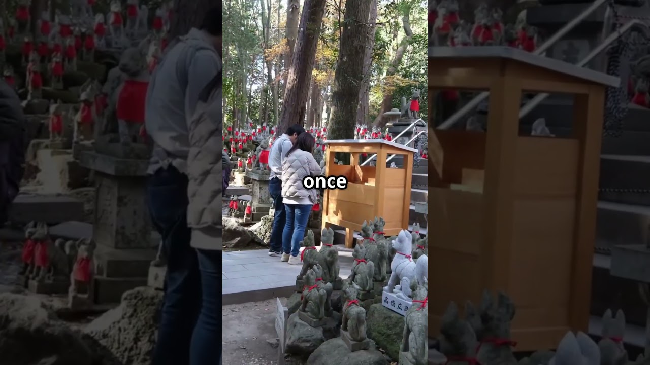 Peace in the Heart of Tokyo 🌿⛩️ Discover Meiji Shrine!