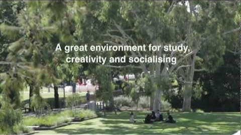 Faculty of Science, Technology and Engineering