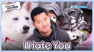 I Hate You [Dogs are incredible : EP.206-1] | KBS WORLD TV 240213