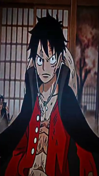 Monkey D Luffy dan Roronoa Zoro #shorts #luffy #zoro #jj #onepiece #am