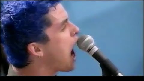 Green Day - One of My Lies - 8/14/1994 - Woodstock 94 (Official)