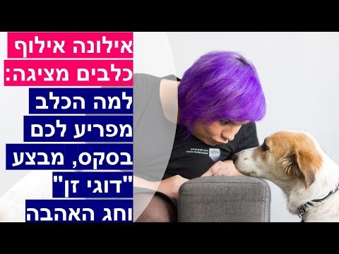 וִידֵאוֹ: המקרה למתן חיות מחמד לקיים יחסי מין זה עם זה - האם זה בסדר שחיות מחמד מקיימות יחסי מין?