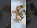 #spongeasmr #oddlysatisfying #asmr #soap #spongesqueezing