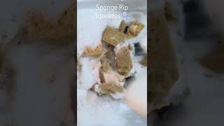 #spongeasmr #oddlysatisfying #asmr #soap #spongesqueezing