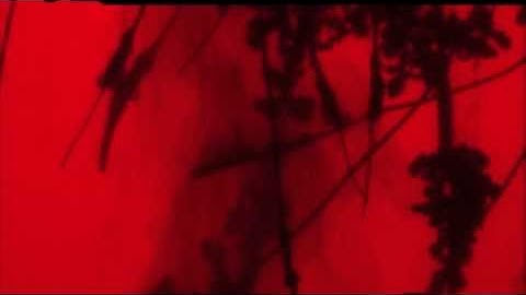 Roman Kirschner on Roots (DEAF 2007)