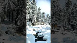 Beautiful view #travel #snow #computer #train #lifeisbutadream #love #tech