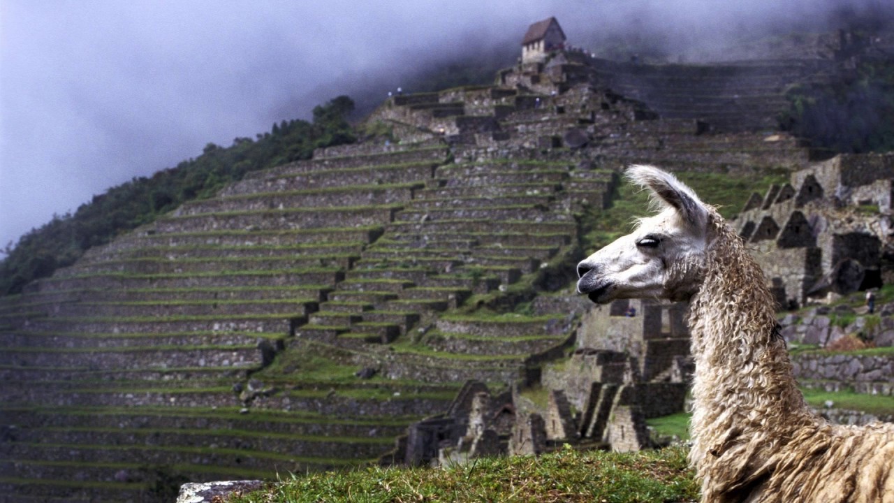 Inca Music From Ecuador Inca Music From Ecuador