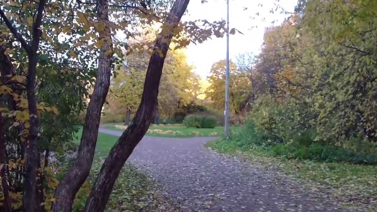 Санкт-Петербург. Золотая осень 2013. ЦПКиО. Пруд. - YouTube