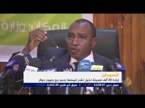 اقتصاد الصباح 19/2/2017