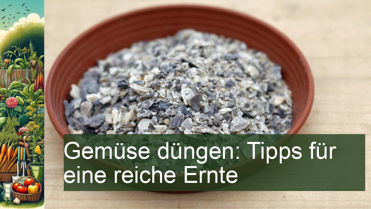 erdbeeren während der blüte düngen Erdbeerdünger für Erdbeeren und Walderdbeeren
