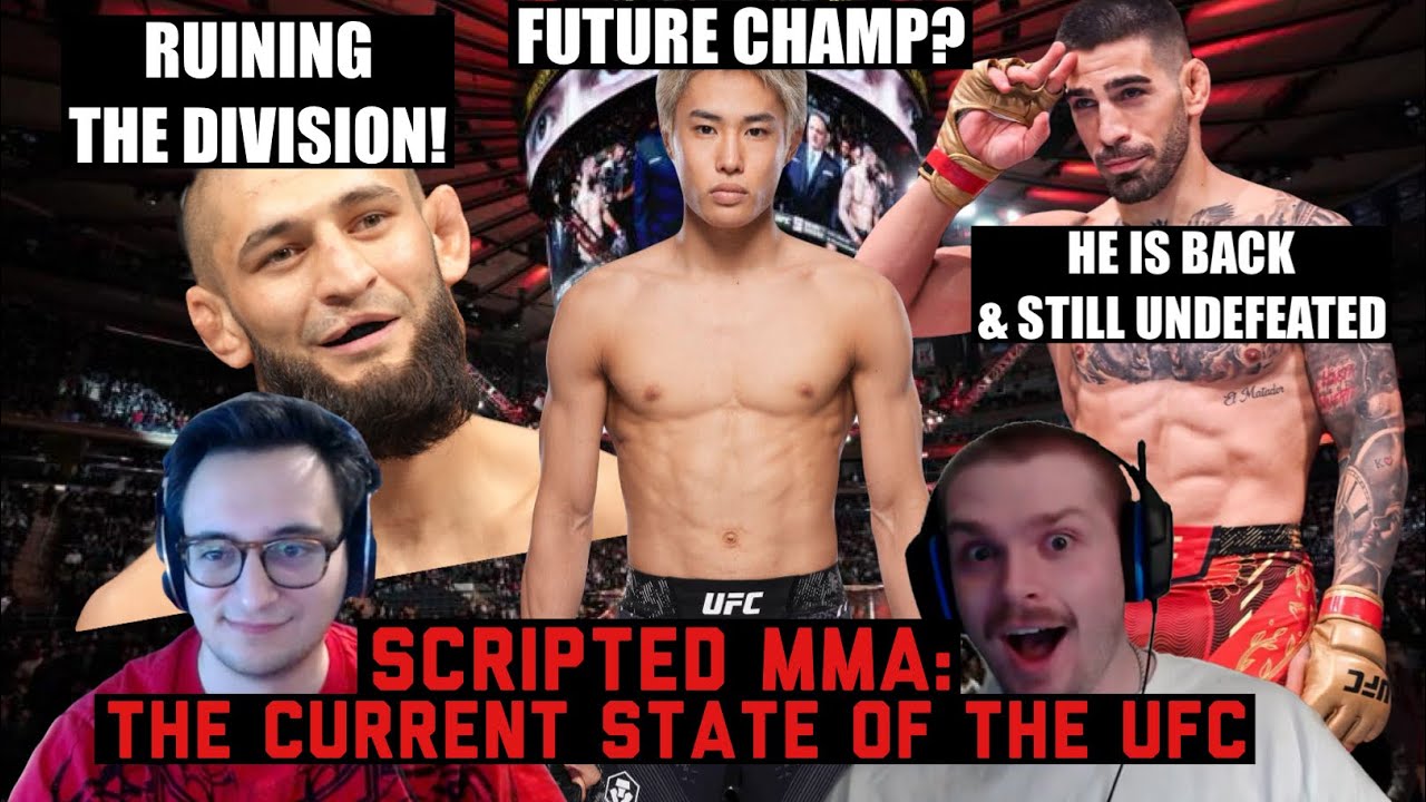 Covering Every UFC Division | HOW BAD IS HEAVYWEIGHT REALLY?