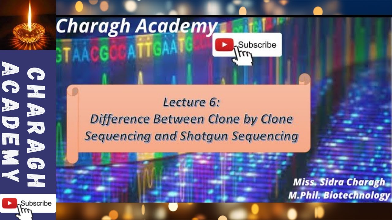 Dna Sequencing || Difference Between Clone By Clone Sequencing And Shotgun Sequencing Lecture 6