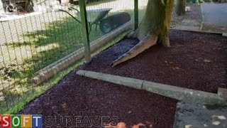 Artificial Grass and Rubber Mulch Surfacing in Derby, Derbyshire | Artificial Grass Installation by Soft Surfaces Ltd 399 views 2 years ago 2 minutes, 12 seconds