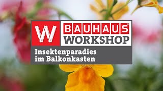 Insektenfreundliche Pflanzen für Balkonkästen [Experten-Tipps] | BAUHAUS Workshop by BAUHAUS 6,806 views 1 year ago 6 minutes, 13 seconds