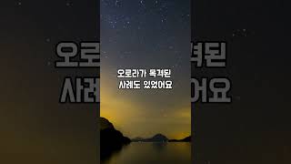 올 여름 강원도에서 오로라 본다?! 놓치면 11년 기다려야함. #여행꿀팁 #여행숏츠 #여행 #오로라 #한국오로라 #오로라여행 #shorts #travel