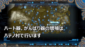 ブレワイ克服の証増殖