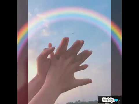 خليت حياتي جنه من مفيش